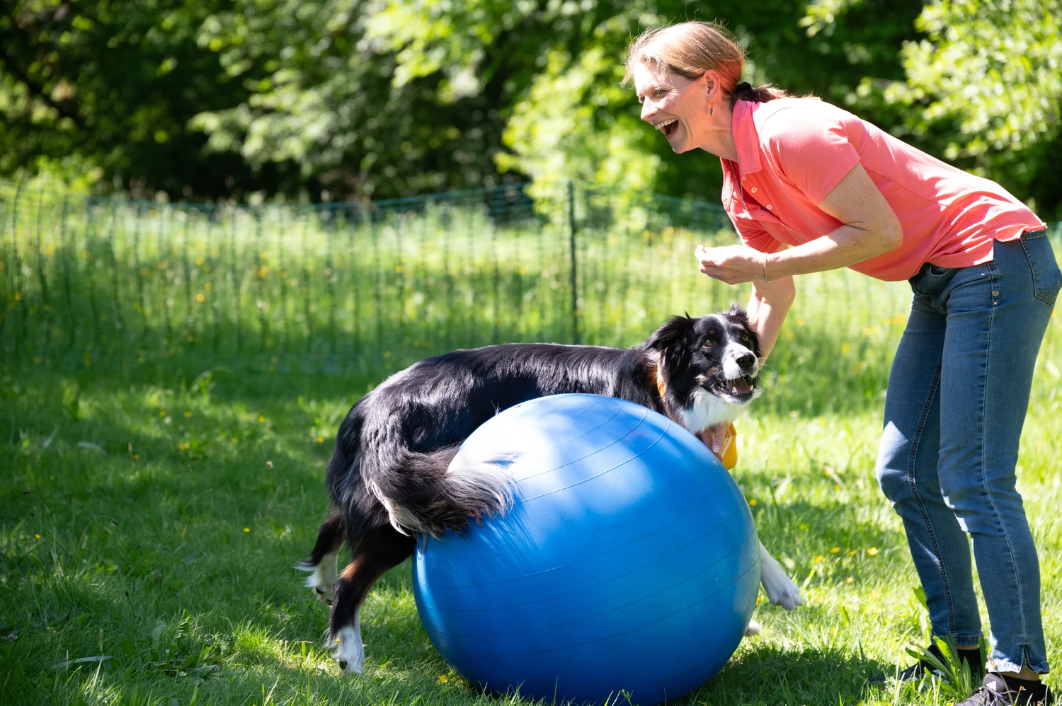 Pfotenweise - Mobile Hundeschule - Anita Schiffelholz