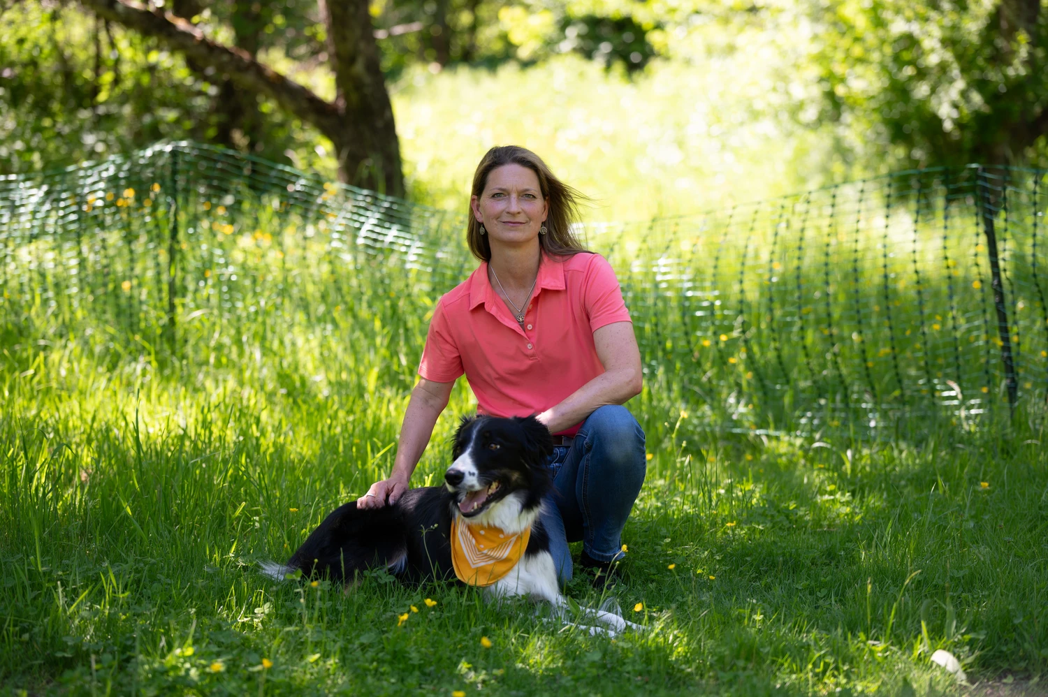 Pfotenweise - Mobile Hundeschule - Anita Schiffelholz