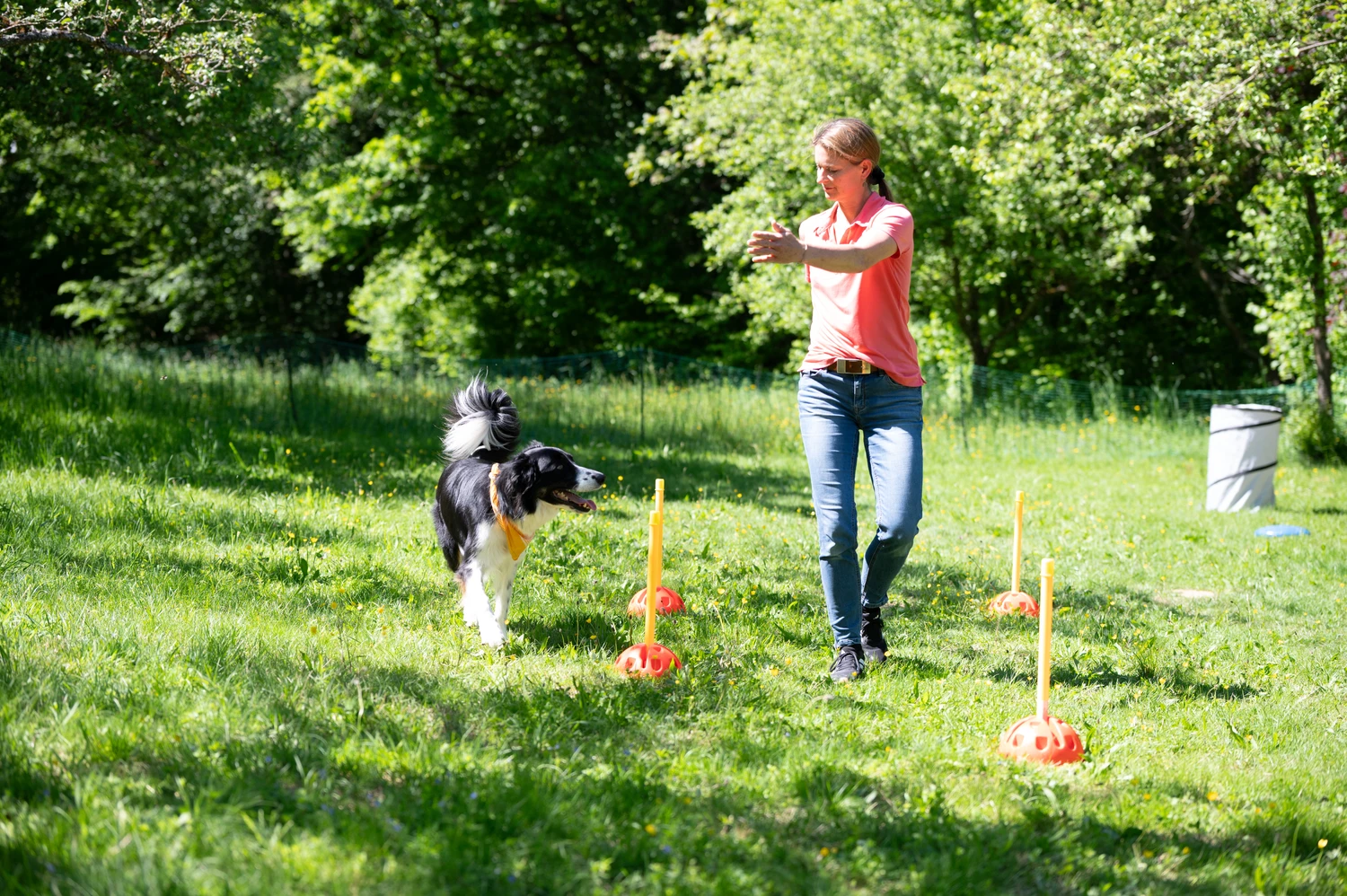 Pfotenweise - Mobile Hundeschule - Anita Schiffelholz